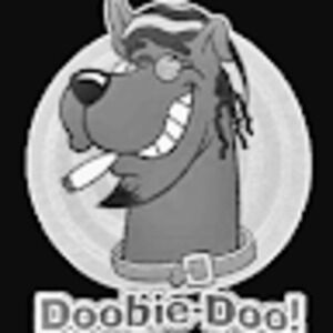 Meet your Posher, Leo